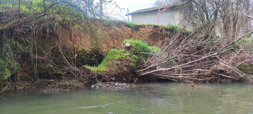 WhatsApp Image 2024-03-21 à 10.48.02_3ed76b5e.jpg