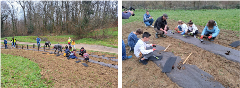 Capture d'écran 2025-08-04 154415.png