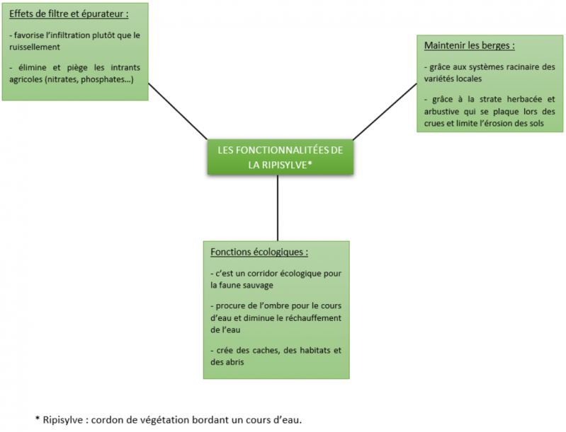 Capture d'écran 2025-08-04 153537.png